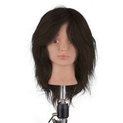 Dateline Professional Cher Mannequin - Brown