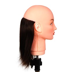 Dateline Professional Clip-On Nape