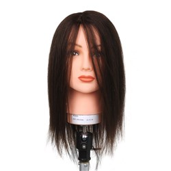 Dateline Professional Clip-On Full Head